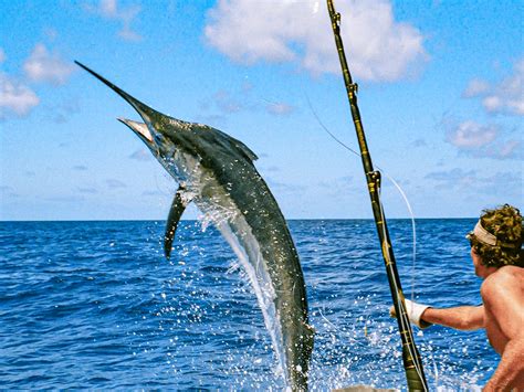 ocean fishing|What Is Deep Sea Fishing l Deep Sea Fishing Tips For Beginners.